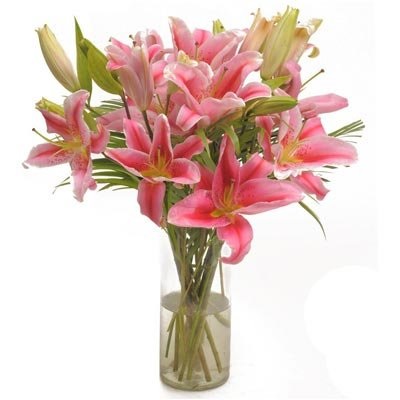 Pink Oriental Lilies flowers Arranged in glass vase